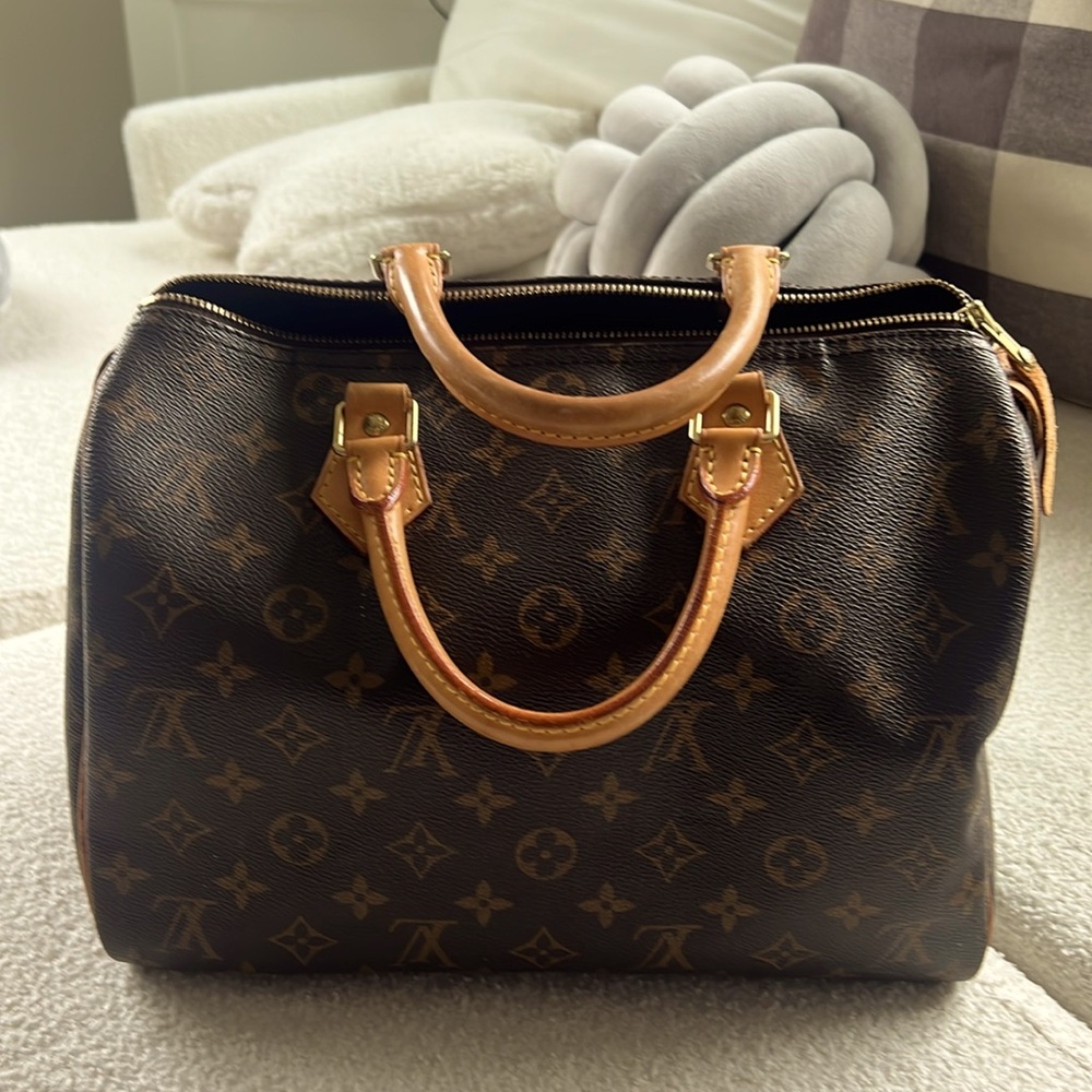 Louis Vuitton purse